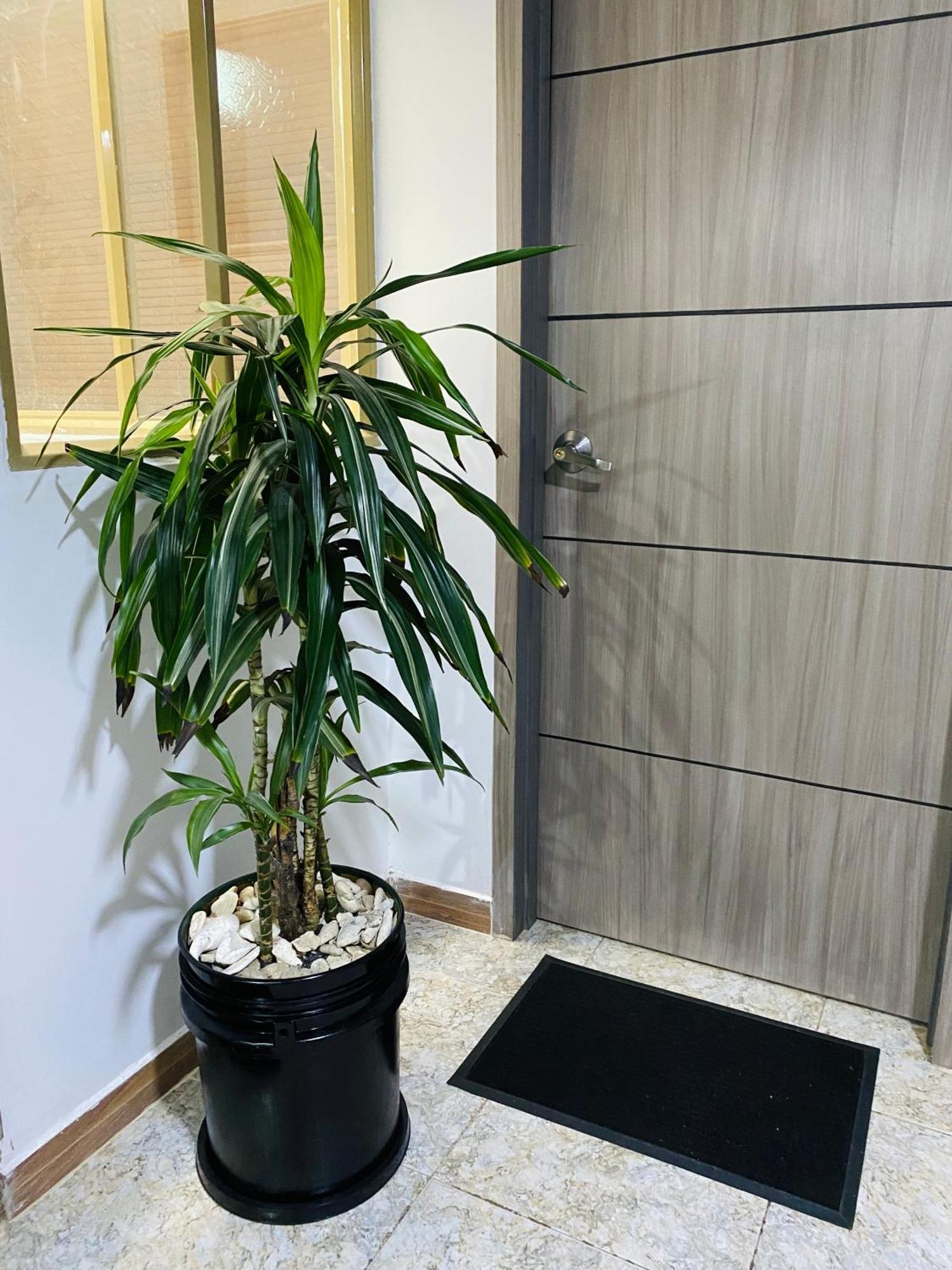 Bogota Kings 301酒店 外观 照片